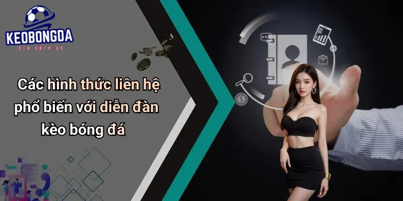 Liên Hệ 2 Liên Hệ