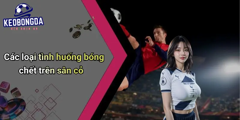 Bóng Chết Là Gì? Phân Tích Và Ứng Dụng Trong Kèo Bóng Đá 1 Bóng Chết Là Gì?
