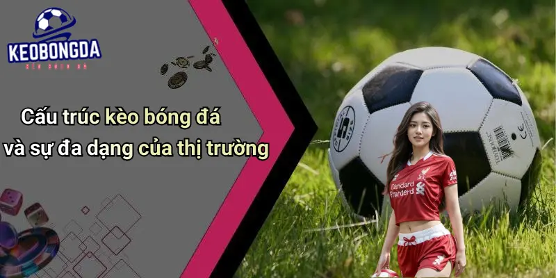 Giới Thiệu 2 Giới Thiệu