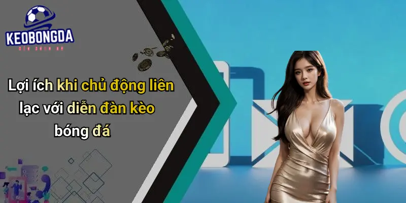 Liên Hệ 4 Liên Hệ