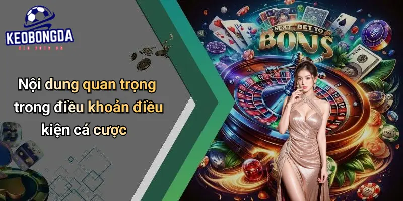 Điều Khoản Điều Kiện 2 Điều Khoản Điều Kiện