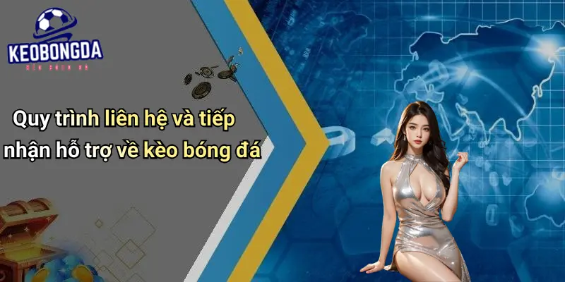 Liên Hệ 3 Liên Hệ