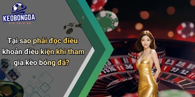 Điều Khoản Điều Kiện 1 Điều Khoản Điều Kiện