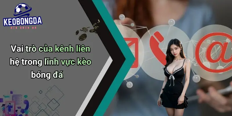 Liên Hệ 1 Liên Hệ