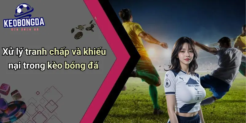 Điều Khoản Điều Kiện 4 Điều Khoản Điều Kiện