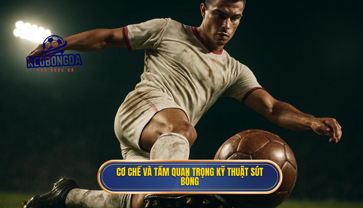 Cơ chế Vật lý và Tầm quan trọng của Kỹ thuật sút bóng bằng mu bàn chân