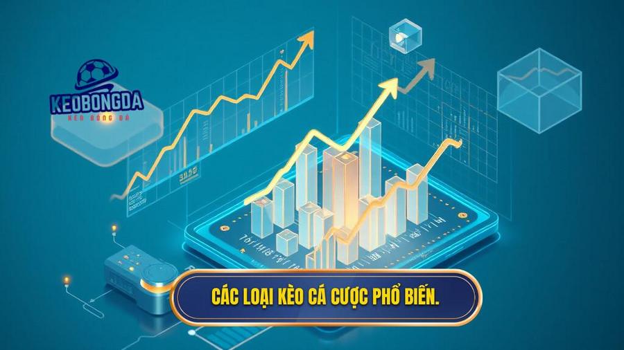 Các loại kèo cá cược phổ biến.