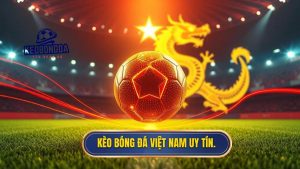 Kèo bóng đá đội tuyển Việt Nam - Cẩm nang soi kèo chuẩn xác nhất