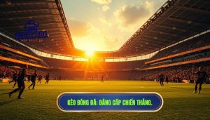 Tiếng reo vang kéo dài đến cuối trận: Nghệ thuật giữ lửa đam mê